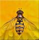hoverfly's Avatar